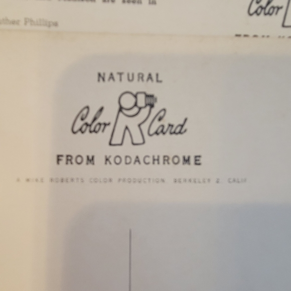 9 Vintage XL Postcards ~ New England ~ VT ~ NH ~ ME ~ Portland ~ Autumn~ Scenic - Picture 10 of 15